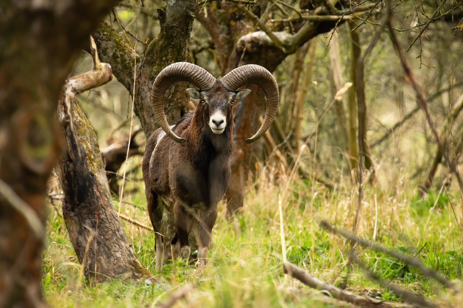 Finca en Extremadura
