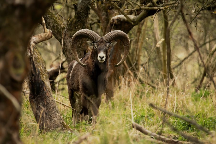 Finca en Extremadura