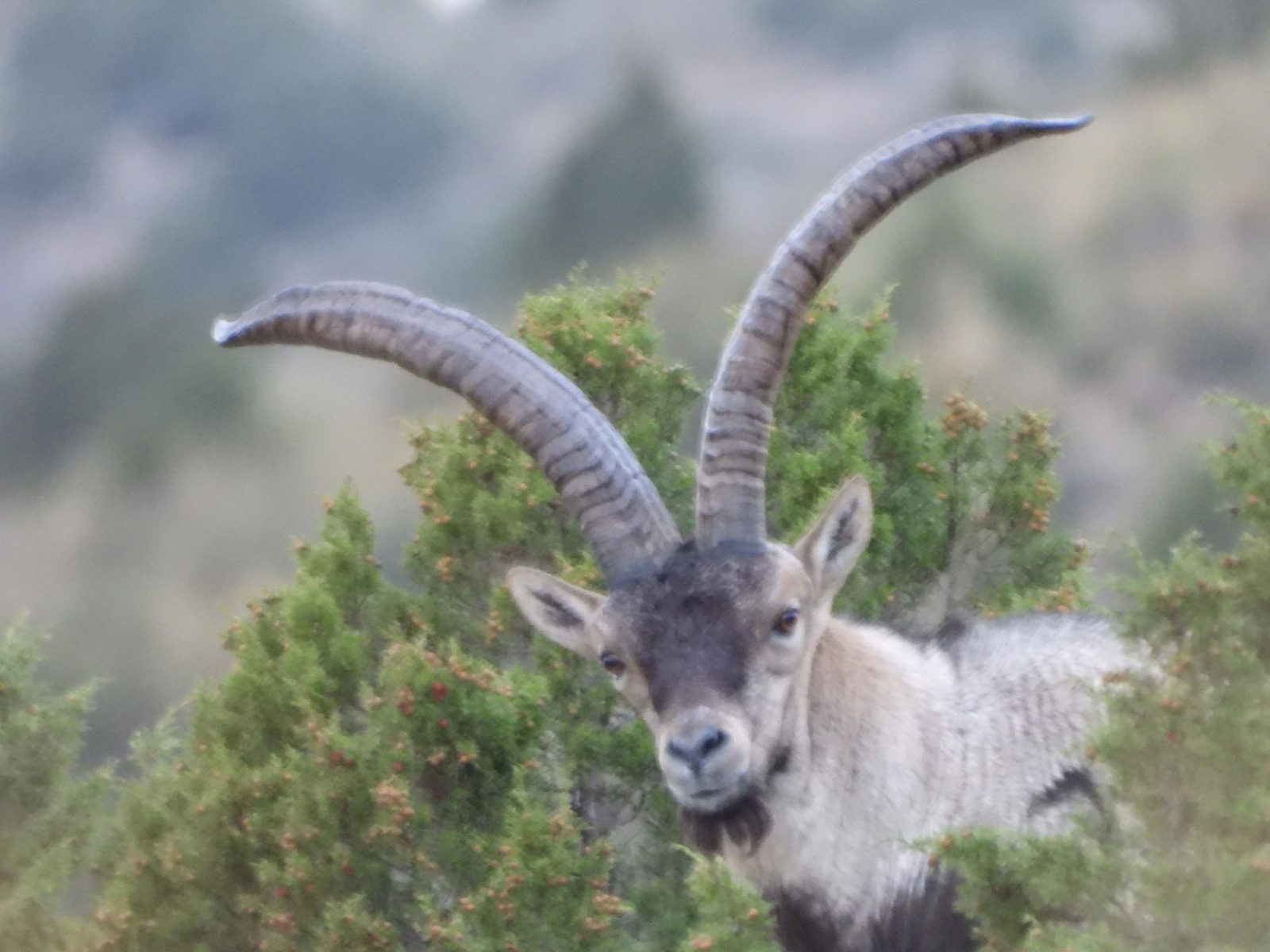 Finca en Jaén
