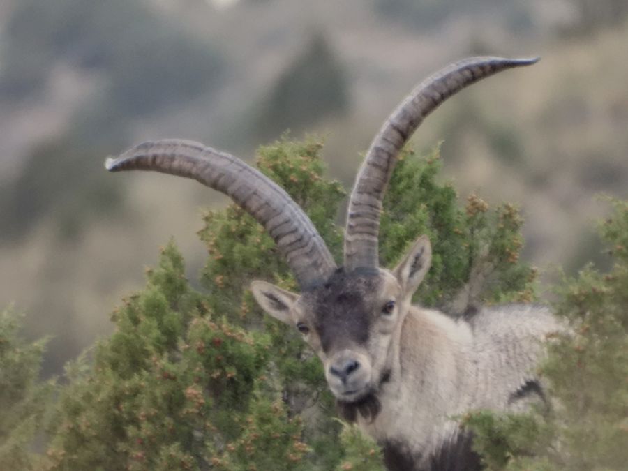 Finca en Jaén