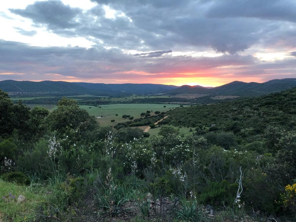 Finca Montes de Toledo