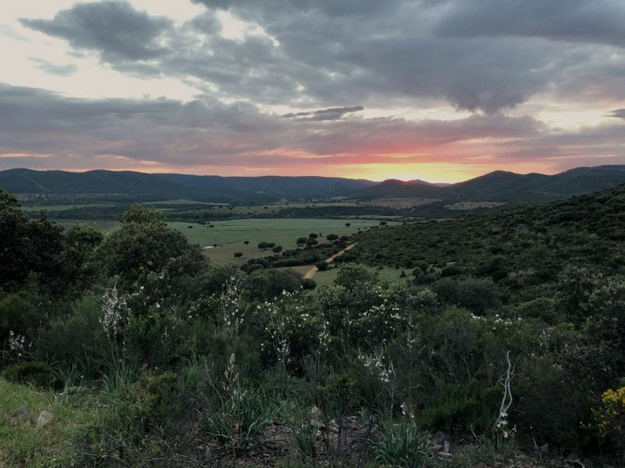 Finca Montes de Toledo