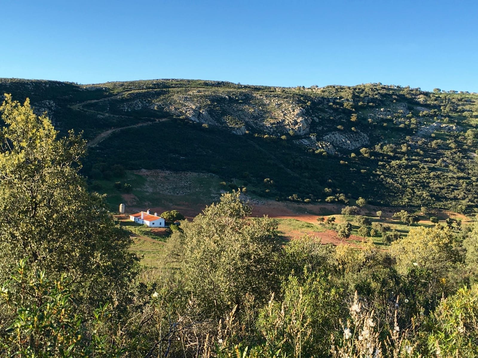 Finca en Ciudad Real