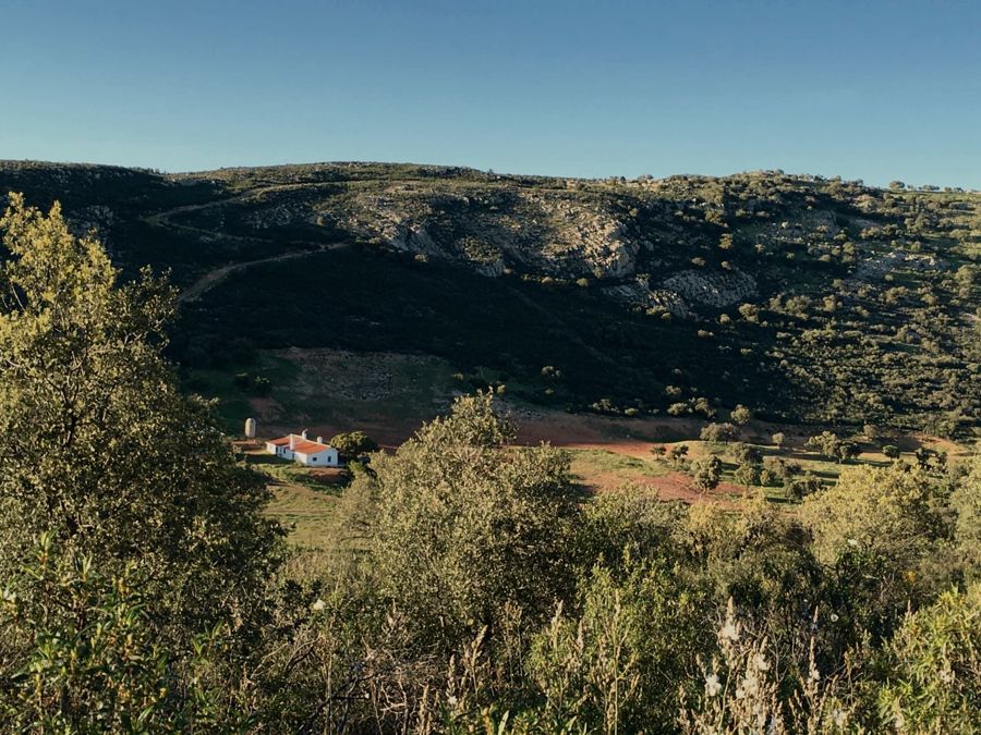 Finca en Ciudad Real