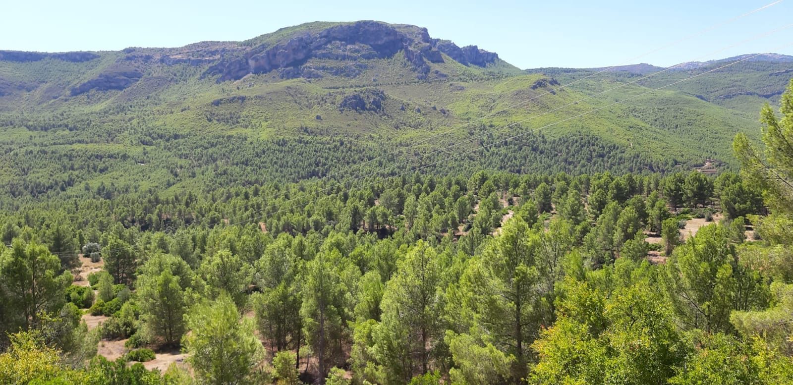 Finca Albacete