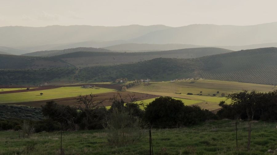 Finca Ciudad Real